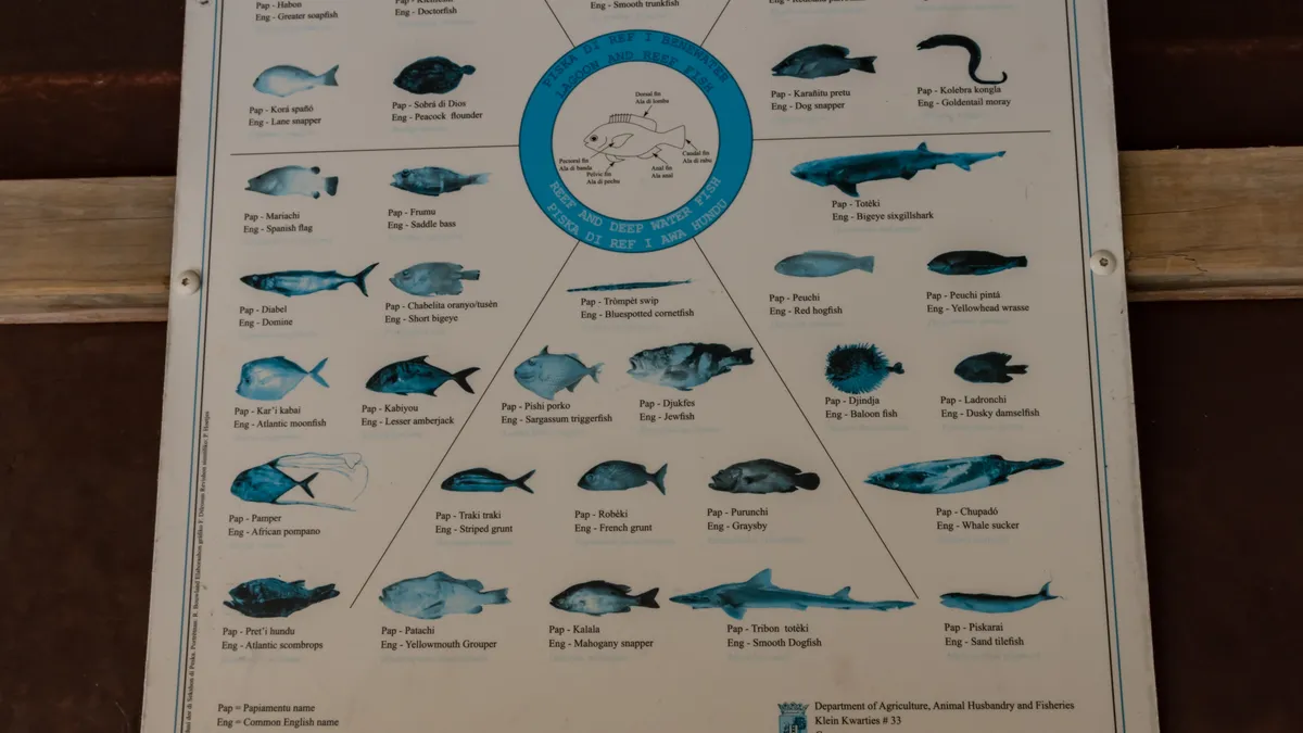 Curacao fishing (35864728304)