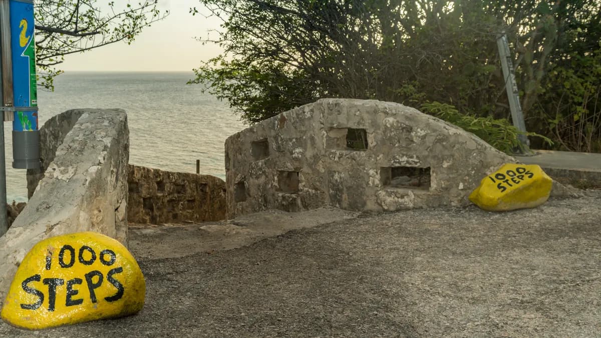 Dive Site 1000 Steps Curacao (36530588672)