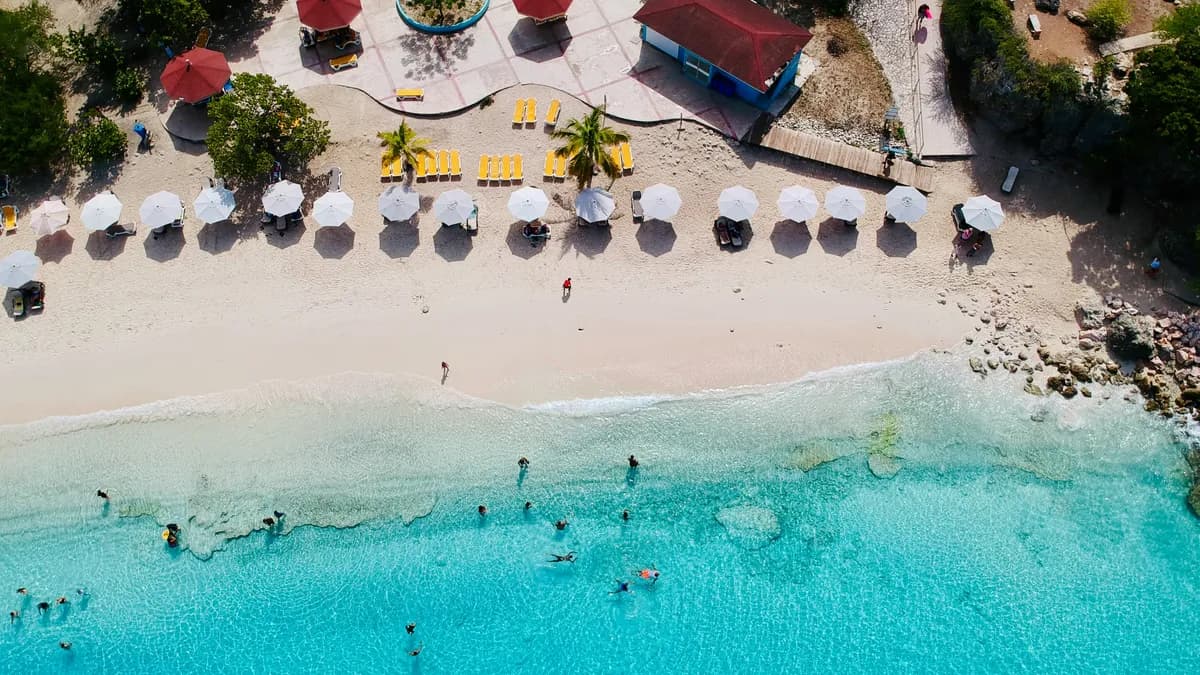 Grote Knip🌴