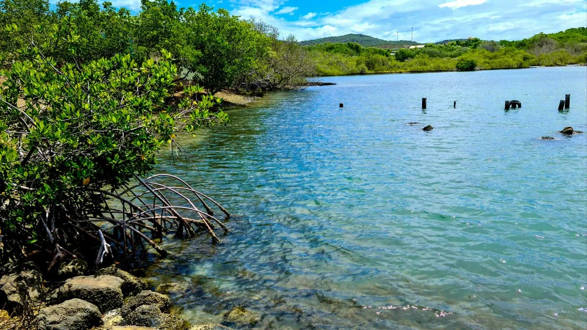 curacao,bandabou