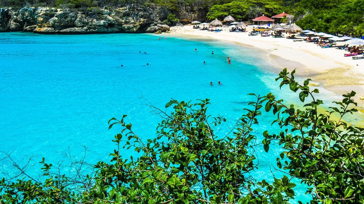 About Curaçao 365